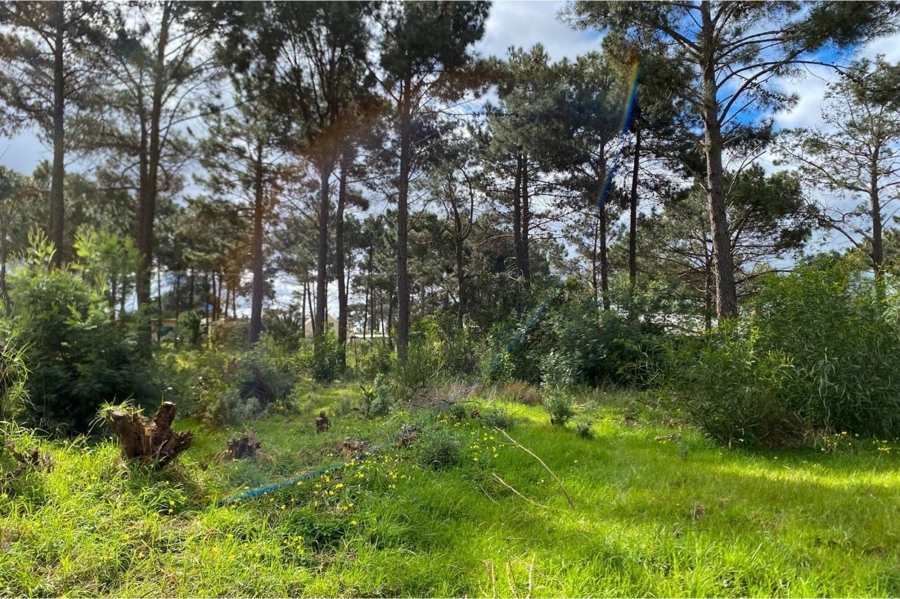 0 Bedroom Property for Sale in Bot River Western Cape